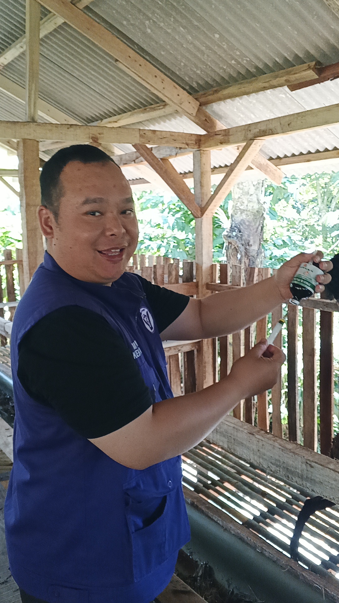 Pakan hijauan untuk domba