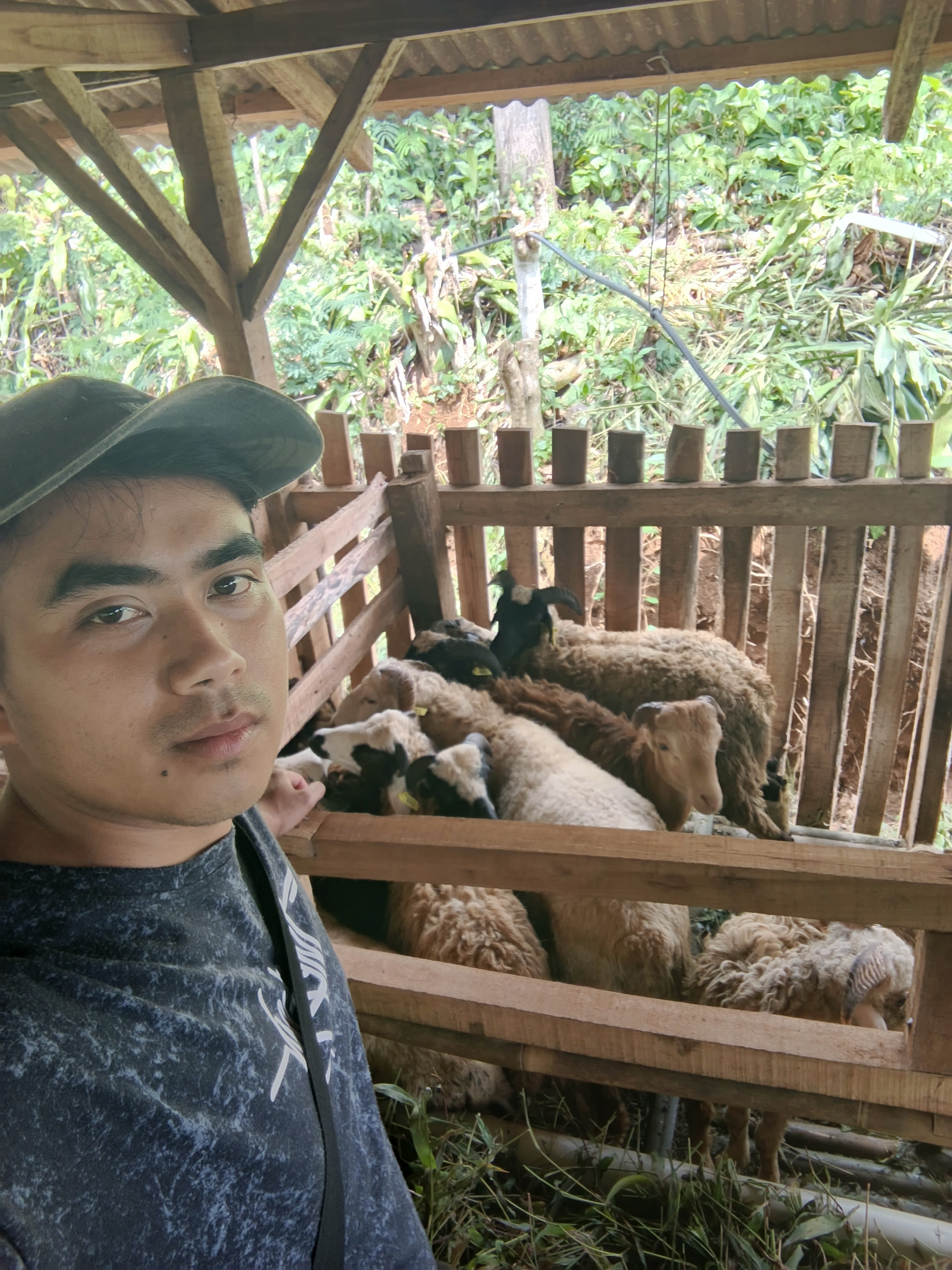 Peternak lokal berdaya