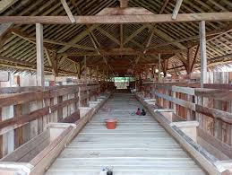 Kandang domba bersih